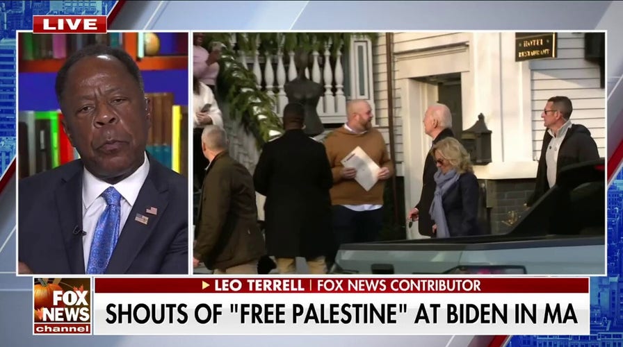 Democrats have a ‘quandary’ with pro-Israeli and pro-Palestinian bases: Leo Terrell