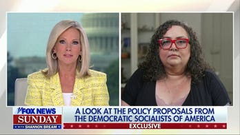 DSA co-chair defends proposals to abolish Senate, ICE and prisons