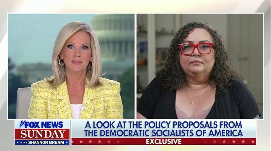 DSA co-chair defends proposals to abolish Senate, ICE and prisons