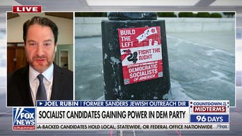 Democratic socialists are 'without a doubt' challenging the Democratic Party: Joel Rubin