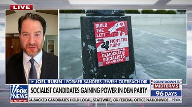 Democratic socialists are 'without a doubt' challenging the Democratic Party: Joel Rubin