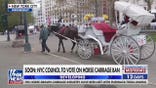 NYC horse-drawn carriage ban sparks fierce debate ahead of council vote