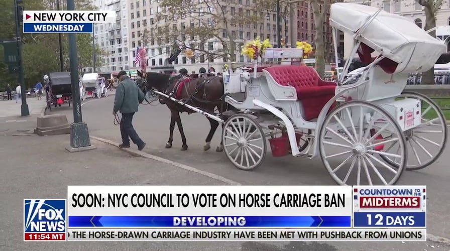 NYC horse-drawn carriage ban sparks fierce debate ahead of council vote