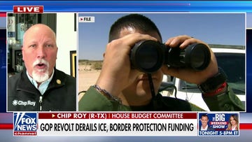 The Senate is not doing what it is supposed to do, Rep Chip Roy says