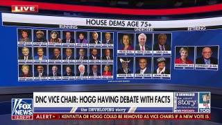 DNC vice chair gives inside perspective on party infighting
