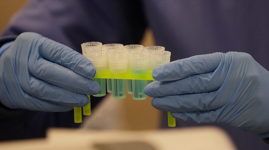 Impact of testing in reopening US economy amid coronavirus pandemic