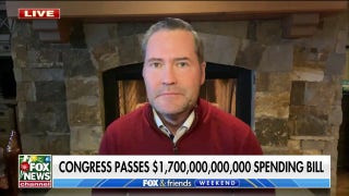 Omnibus bill is ‘massive spending mess’: Rep. Michael Waltz - Fox News