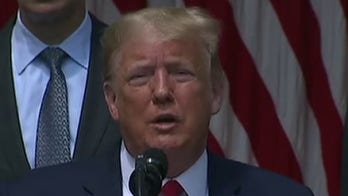 Martha MacCallum: Jobs report is 'vindication' for coronavirus 'lockdown rebellion'