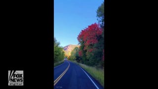 Color me fall! Drone footage captures stunning fall foliage - Fox News