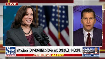 Will Cain slams VP Harris amid growing backlash over 'equity' remark: 'Morally abhorrent'
