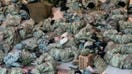 Bipartisan outrage over National Guard treatment after Capitol defense