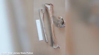 New Jersey researchers identify remains of 19th-century ship captain