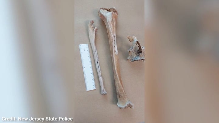 New Jersey researchers identify remains of 19th-century ship captain