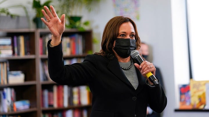 Kamala Harris needs to visit border before making policies: Texas lawmaker 