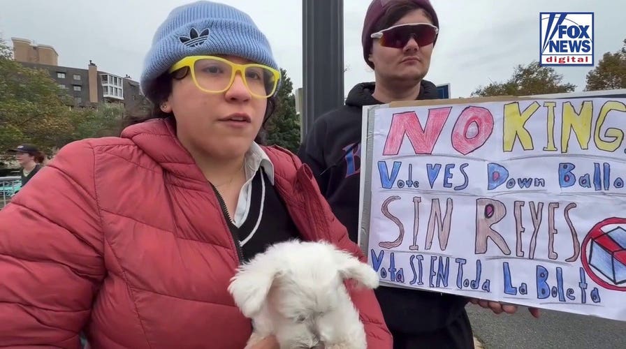 ‘No Kings’ organizers claim they are ‘nonpartisan,’ but activists target Trump and Republicans