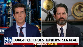 Tolman: A judge asking simple questions got in the way of Hunter Biden sweetheart deal - Fox News