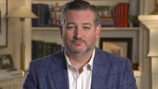Ted Cruz: Critical race theory is 'poison that's being poured into the minds of our kids'  - Fox News