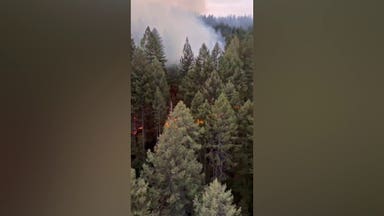 Fires rage as deputies hunt armed California murder suspect through rugged forest