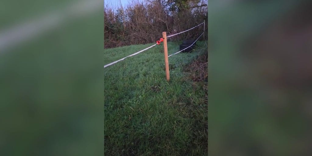 Spooked mare unexpectedly gallops headfirst into a ditch before being rescued