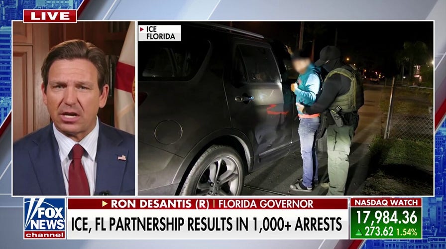 Ron DeSantis calls allegations of ICE deporting American citizens a ‘phony narrative’