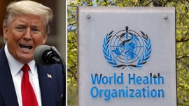How the World Health Organization collects its money