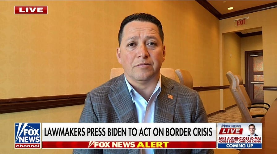 US needs to ‘take the gloves off' and hold cartels accountable: Rep. Gonzales