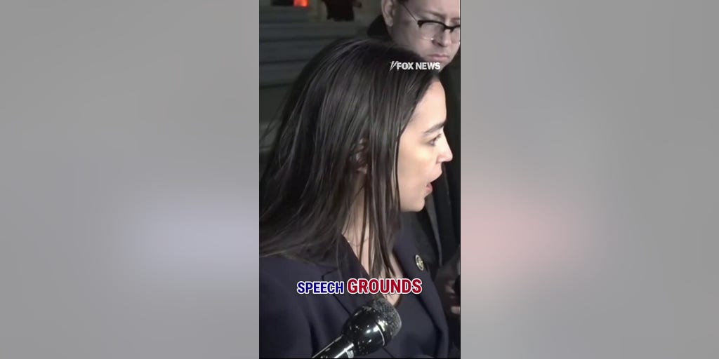 AOC calls ICE a 'PARAMILITARY FORCE' after Minneapolis shooting
