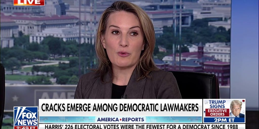 Democrats need to get focus around issues or they will get primaried, Dem strategist warns