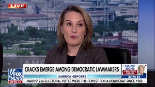 Democrats need to get focus around issues or they will get primaried, Dem strategist warns