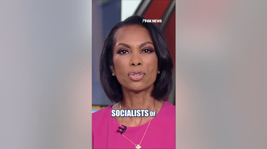 59% of Democrats view DSA favorably: Poll