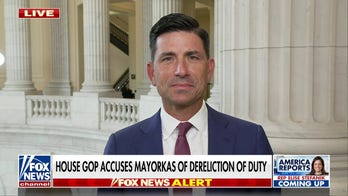 Homeland Security Department needs new leadership: Chad Wolf