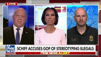 Border Patrol official rails on Schiff's 'disgusting' attack on Republicans at House hearing: 'Total lies'