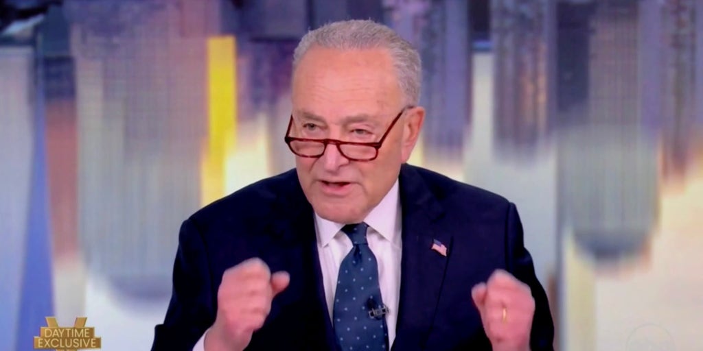 Chuck Schumer shrugs off suggestion he should step down as party leader