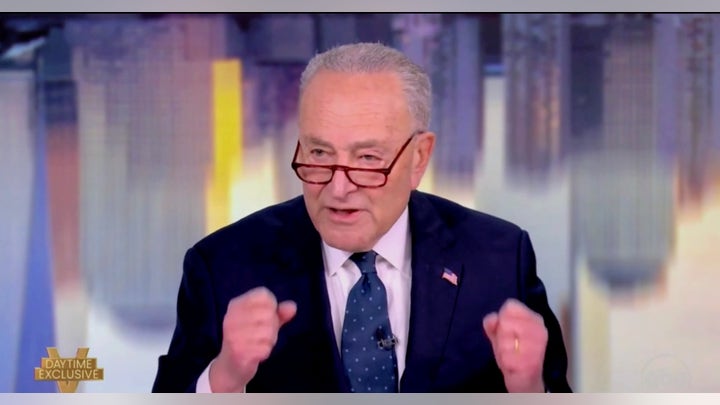 Schumer shrugs off suggestion he should step down as party leader