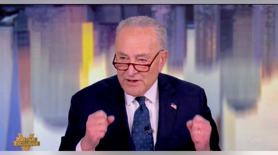 Chuck Schumer shrugs off suggestion he should step down as party leader