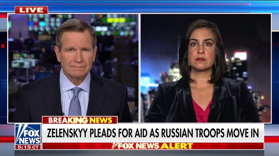 Zelenskyy fighting for Europe, Western world: Rep. Malliotakis