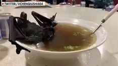 Dissident Chinese artist made secret film about Wuhan during China’s coronavirus lockdown