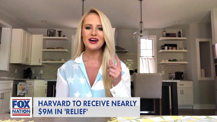 Tomi Lahren slams Harvard for accepting coronavirus relief funds