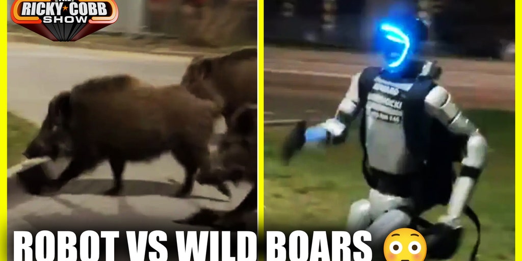 Robot vs Wild Boars… This Is Real SCARY For The Future | The Ricky Cobb Show
