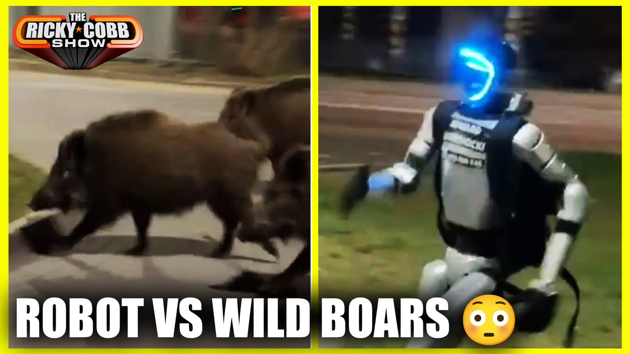 Robot vs Wild Boars… This Is Real SCARY For The Future | The Ricky Cobb Show