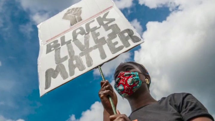 Burgess Owens slams BLM, Antifa: 'They destroy everything they touch'