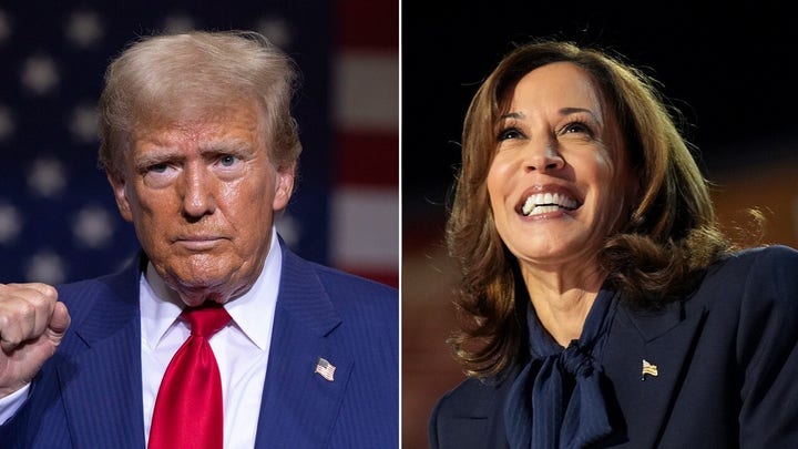 Kamala Harris is still an underdog, its all about the economy: Robert Wolf