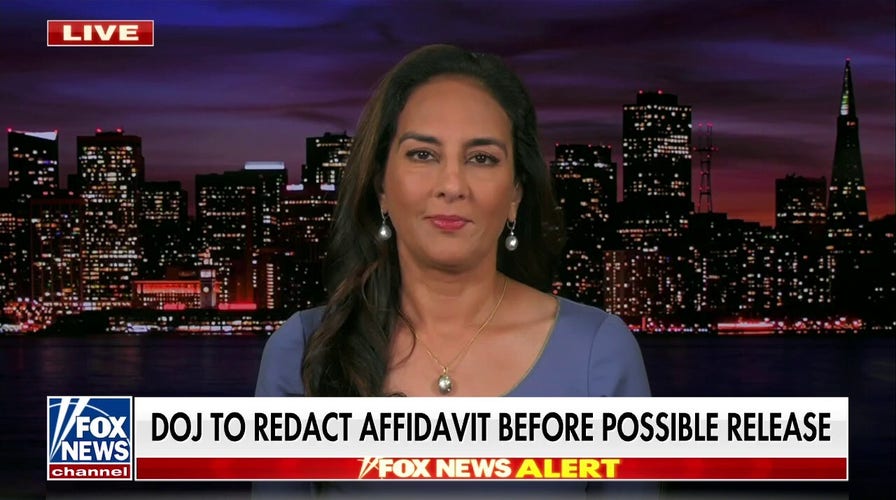 Harmeet Dhillon: Affidavit will likely show 'virtually nothing' after redactions