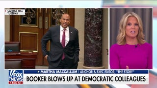 Democratic lawmaker unloads on fellow Democrats in the Senate