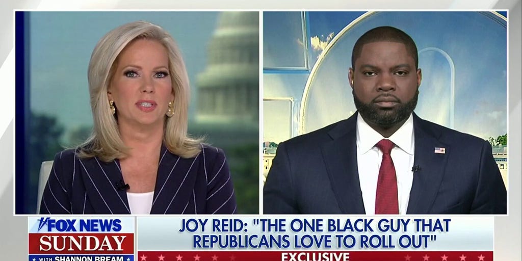 Joy Reid's comments are 'nothing more than crabs in a barrel': Rep. Byron Donalds
