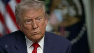 Trump explains why he believes ICE raids 'haven't gone far enough'