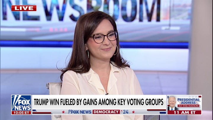 Democrats, media casting blame for Harris' election loss