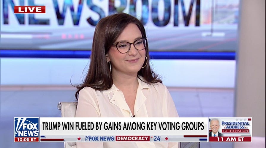 Democrats, media casting blame for Harris' election loss