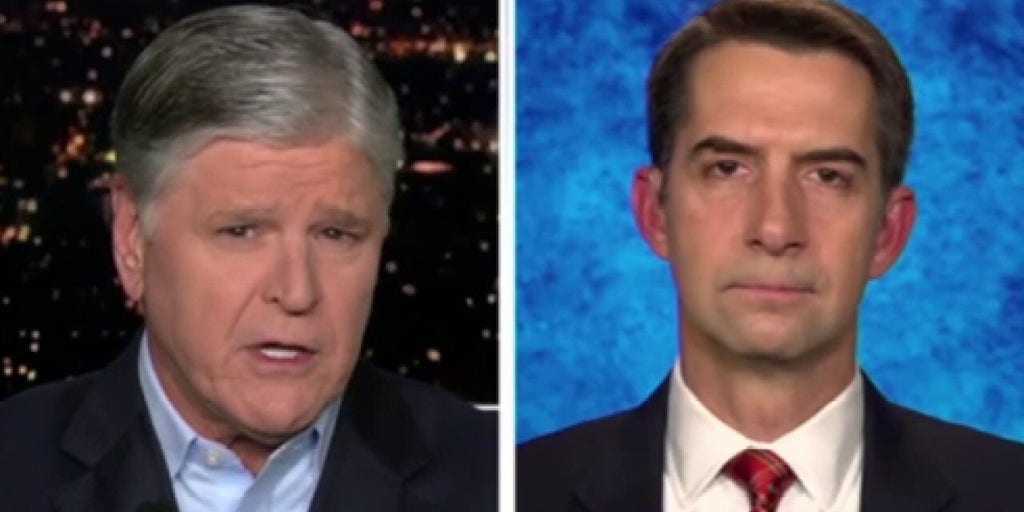 America can expect accountability and protection of the homeland from Trump, GOP senator says