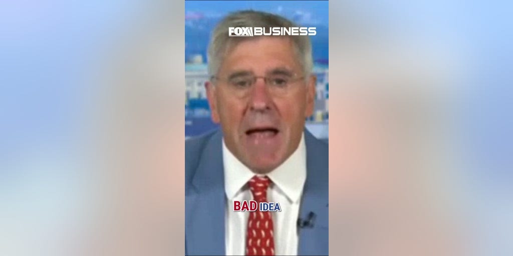 Steve Moore critiques government buying private sector assets, warns of corporate welfare